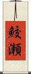 鮫瀬 Scroll