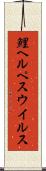 鯉ヘルペスウイルス Scroll