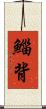 鯔背 Scroll