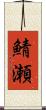 鯖瀬 Scroll