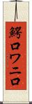 鰐口 Scroll