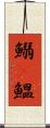 鰯(P) Scroll