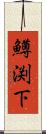 鱒渕下 Scroll