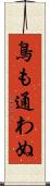 鳥も通わぬ Scroll