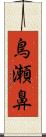 鳥瀬鼻 Scroll