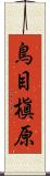 鳥目槇原 Scroll