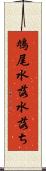 鳩尾 Scroll