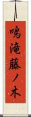 鳴滝藤ノ木 Scroll