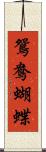 鴛鴦蝴蝶 Scroll