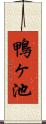 鴨ヶ池 Scroll