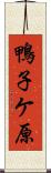 鴨子ケ原 Scroll