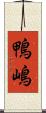鴨嶋 Scroll