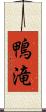 鴨滝 Scroll