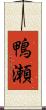 鴨瀬 Scroll