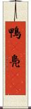 鴨(P) Scroll