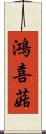 鴻喜菇 Scroll