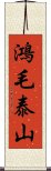 鴻毛泰山 Scroll