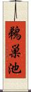 鵜巣池 Scroll