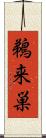 鵜来巣 Scroll