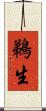 鵜生 Scroll