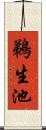 鵜生池 Scroll