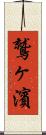 鷲ヶ濱 Scroll