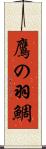 鷹の羽鯛 Scroll
