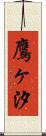鷹ヶ汐 Scroll