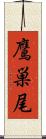 鷹巣尾 Scroll
