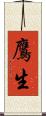 鷹生 Scroll