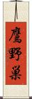 鷹野巣 Scroll