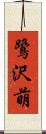 鷺沢萌 Scroll