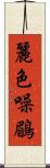 麗色噪鶥 Scroll