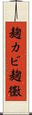 麹カビ Scroll