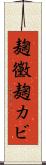 麹黴 Scroll