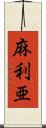 麻利亜 Scroll