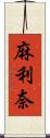 麻利奈 Scroll