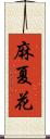 麻夏花 Scroll