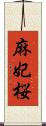 麻妃桜 Scroll