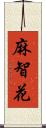 麻智花 Scroll