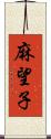 麻望子 Scroll