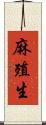 麻殖生 Scroll