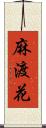 麻渡花 Scroll