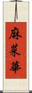 麻菜華 Scroll