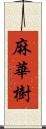 麻華樹 Scroll