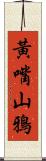 黃嘴山鴉 Scroll