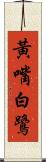 黃嘴白鷺 Scroll