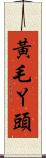 黃毛丫頭 Scroll