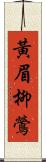 黃眉柳鶯 Scroll