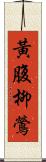 黃腹柳鶯 Scroll